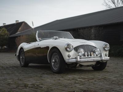 1955 Austin - Healey 100/4