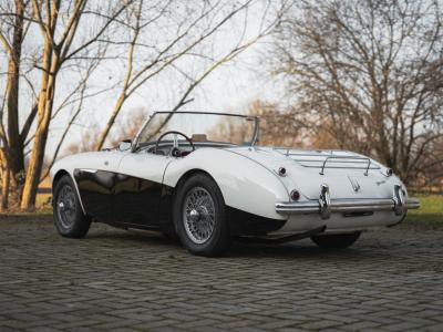 1955 Austin - Healey 100/4