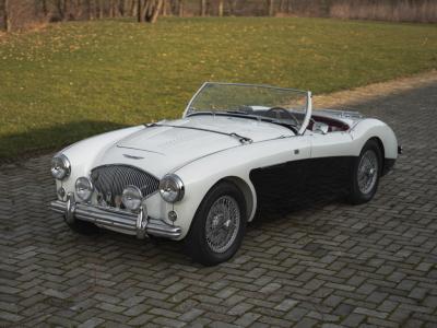 1955 Austin - Healey 100/4