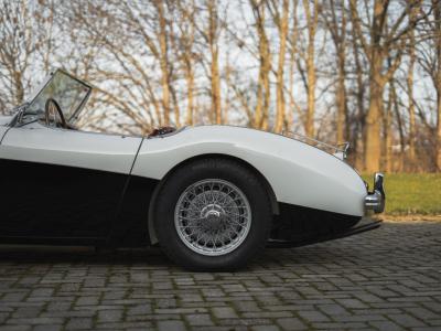 1955 Austin - Healey 100/4