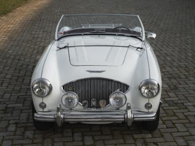 1955 Austin - Healey 100/4