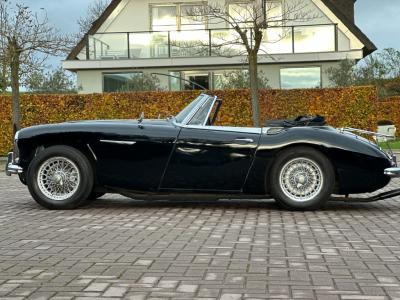 1963 Austin - Healey 3000