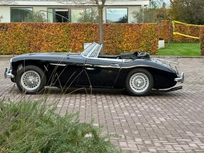 1963 Austin - Healey 3000