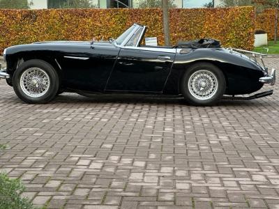 1963 Austin - Healey 3000