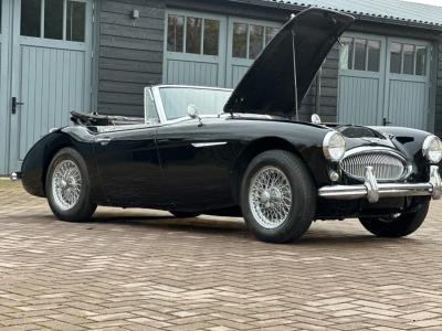 1963 Austin - Healey 3000