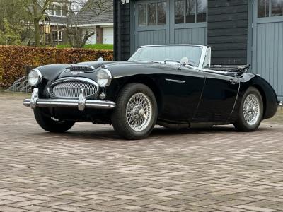 1963 Austin - Healey 3000