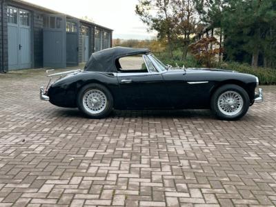 1963 Austin - Healey 3000