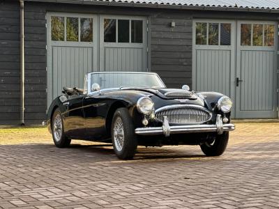 1963 Austin - Healey 3000