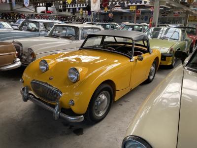 1959 Austin - Healey Frogeye sprite