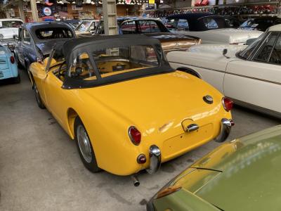 1959 Austin - Healey Frogeye sprite