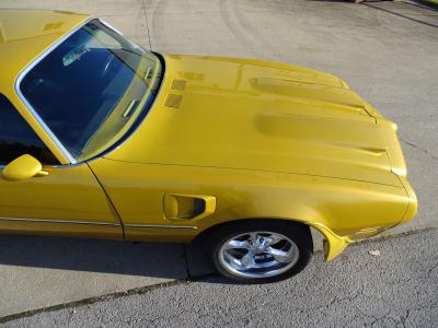 1975 Pontiac Firebird