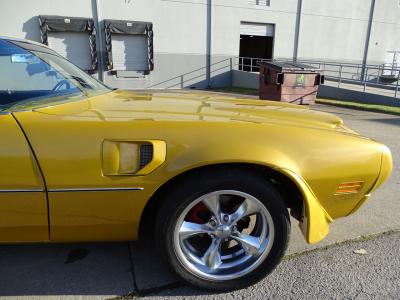 1975 Pontiac Firebird