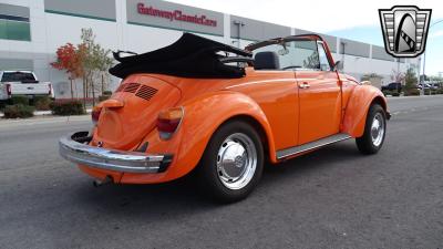 1976 Volkswagen Beetle