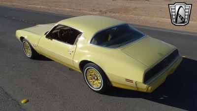 1980 Pontiac Firebird