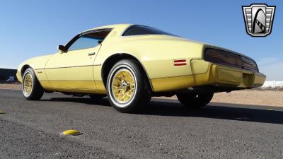 1980 Pontiac Firebird