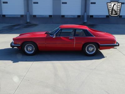 1983 Jaguar XJS