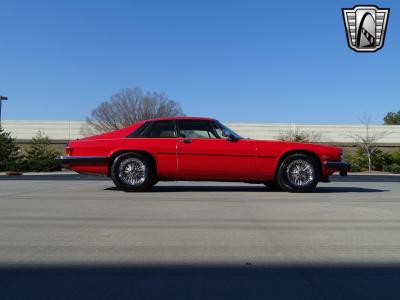 1983 Jaguar XJS