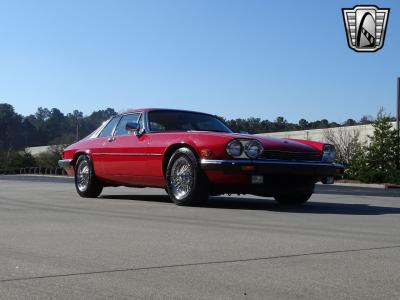 1983 Jaguar XJS