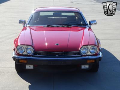 1983 Jaguar XJS