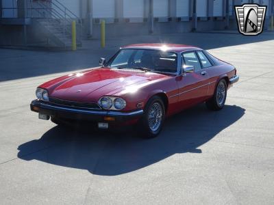 1983 Jaguar XJS