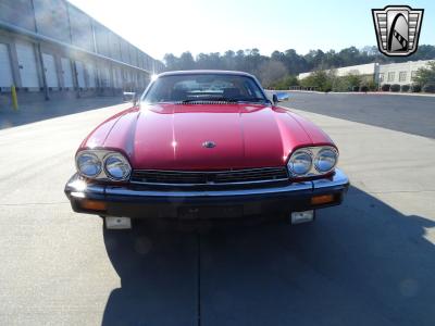 1983 Jaguar XJS