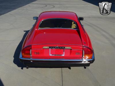 1983 Jaguar XJS