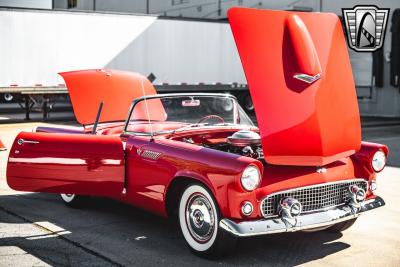 1955 Ford Thunderbird