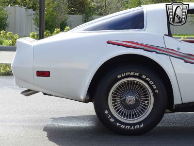 1981 Chevrolet Corvette