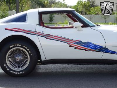 1981 Chevrolet Corvette