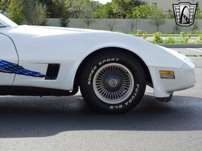 1981 Chevrolet Corvette