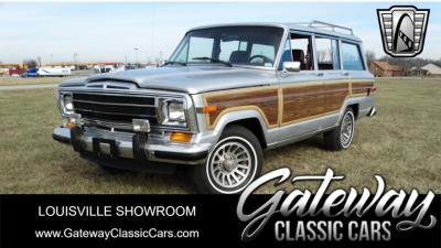 1989 Jeep Grand Wagoneer