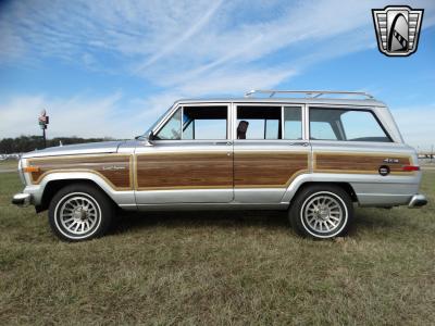 1989 Jeep Grand Wagoneer