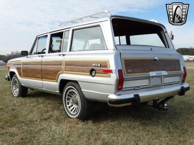 1989 Jeep Grand Wagoneer