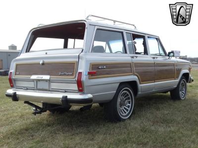 1989 Jeep Grand Wagoneer