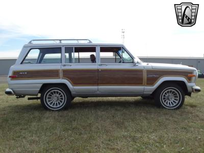 1989 Jeep Grand Wagoneer