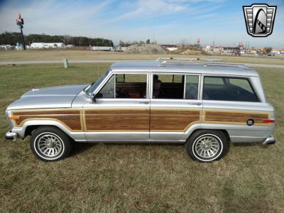 1989 Jeep Grand Wagoneer