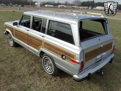 1989 Jeep Grand Wagoneer