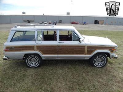 1989 Jeep Grand Wagoneer