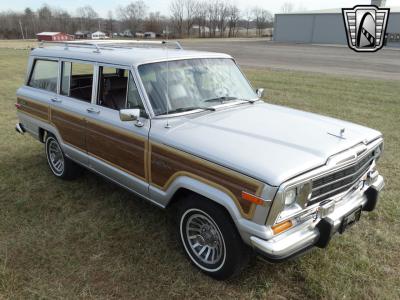 1989 Jeep Grand Wagoneer