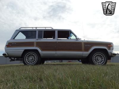 1989 Jeep Grand Wagoneer