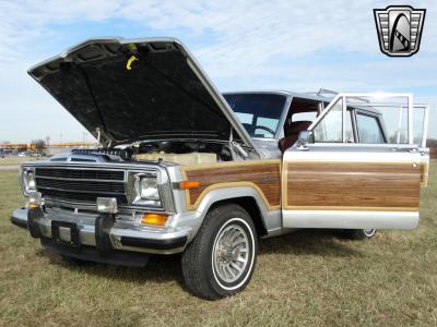 1989 Jeep Grand Wagoneer