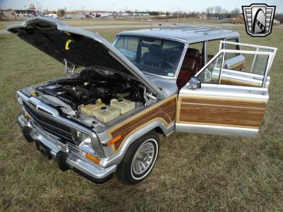 1989 Jeep Grand Wagoneer