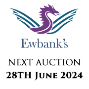 Ewbank’s | Cars & Motorcycles | 28th June 2024 2023 SQ